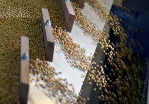 China comprará US$17 bi em produtos agrícolas dos EUA por ano, diz Casa Branca
