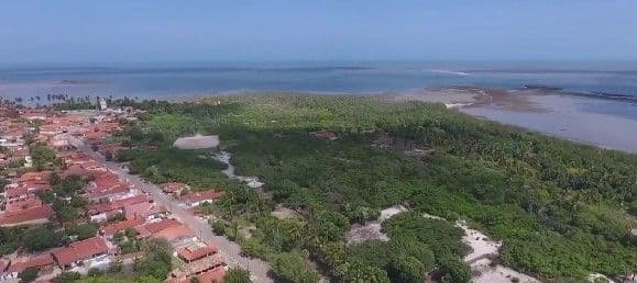 Empresário é condenado a pagar R$ 2,5 milhões por grilagem de terras e danos ambientais no Piauí. Legenda da imagem. Reprodução: Globo