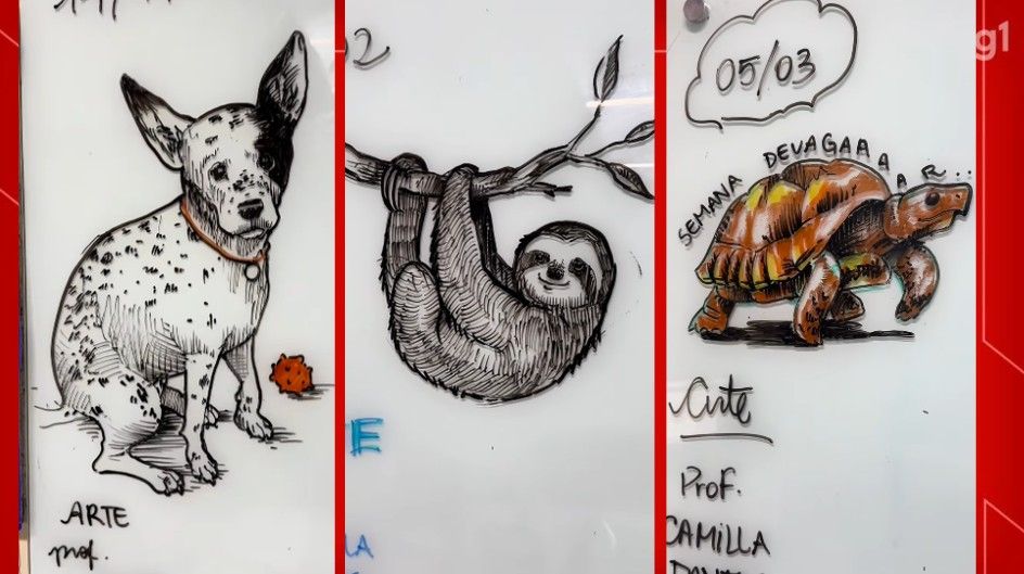 Professora de artes do DF viraliza com desenhos na lousa da sala.. Reprodução: G1