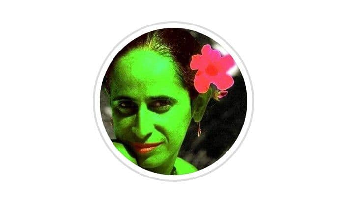 Perfil de humor 'Bangalô de Gente Nobre' responde a Maria Bethânia após discussão sobre ironia e paródia. Reprodução: Globo