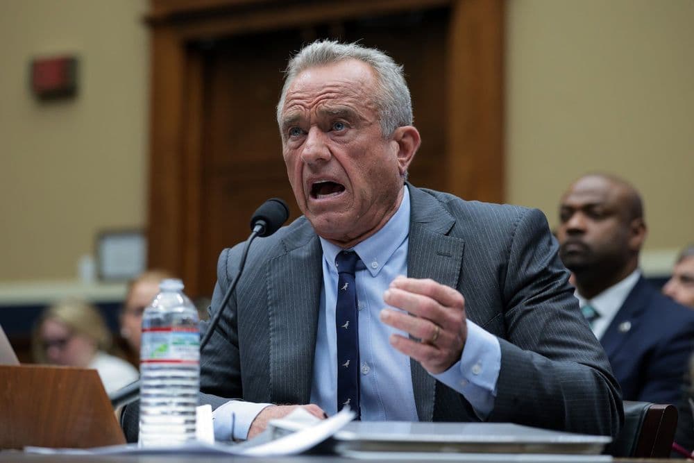 Robert F. Kennedy Jr. testifica diante do Subcomitê de Saúde da Câmara dos EUA. Reprodução: Gizmodo