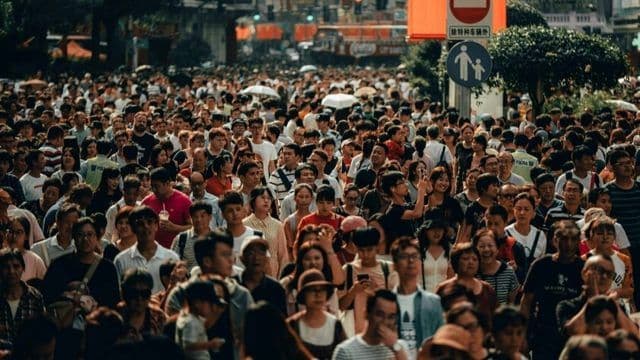 População Mundial Pode Ser Maior Que 8 Bilhões