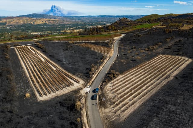 Terrenos queimados pelos incêndios em Ourense (Galícia) durante a onda de fogo no Mediterrâneo. Legenda da imagem. Reprodução: El País