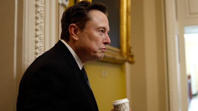 Elon Musk e o Departamento de Eficiência Governamental