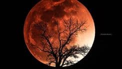 Entenda o fenômeno da Lua de Sangue