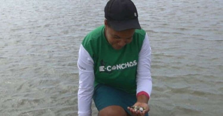 Tijolo Ecológico Utiliza Conchas de Marisco em Pernambuco