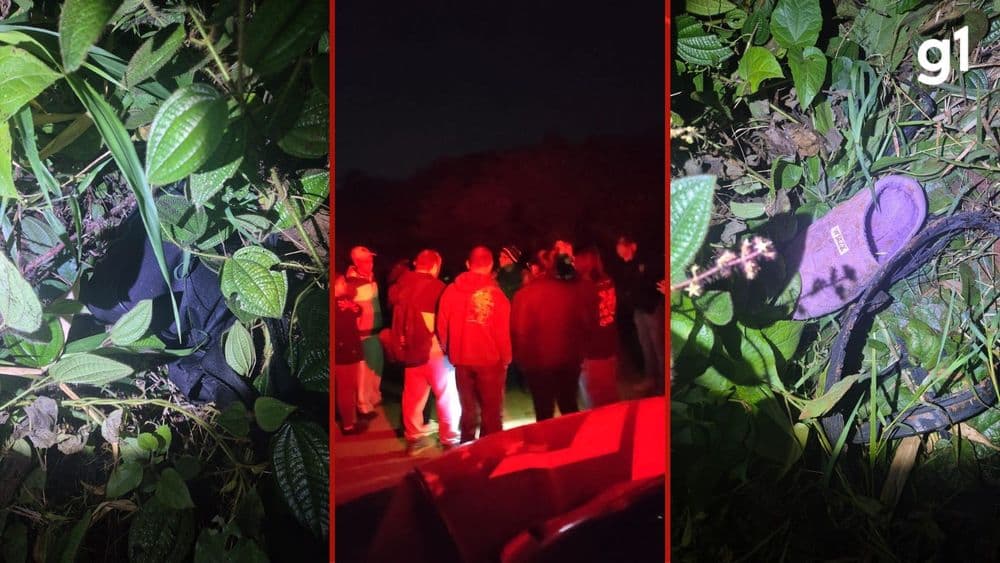 Corpo de mulher com marcas de faca é encontrado em mata em Estrela. Reprodução: Globo