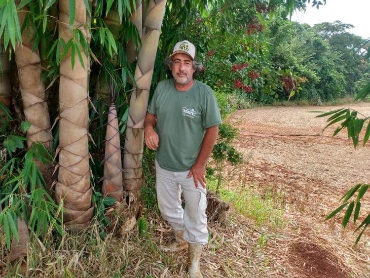 Produtor de bambu destaca a crescente demanda por essa matéria-prima no Brasil. Reprodução: Globo