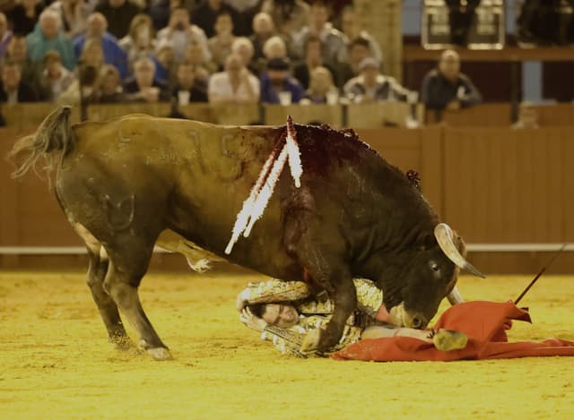 Roca Rey faz voltereta em La Maestranza; corta temporada por lesões. Reprodução: Retorno do item 11