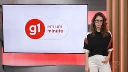 Van que transportava presos tombou após colisão em Bauru. Reprodução: TV TEM