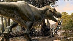 Por que dinossauros não evoluíram após o asteroide