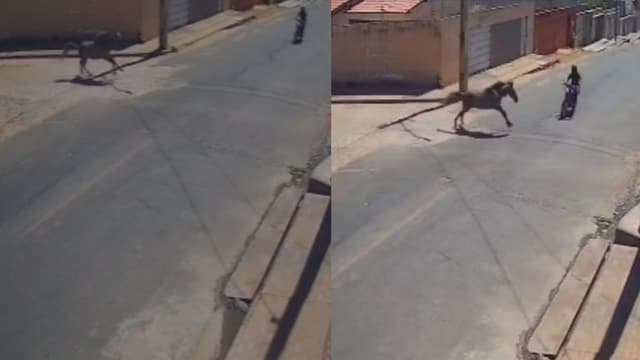 Motociclista morre após colisão com cavalo em Floriano; dono do animal pode responder por homicídio culposo. Legenda da imagem. Reprodução: Retorno do item 11