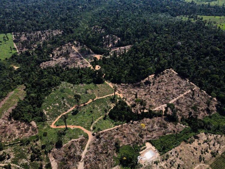 Cortes Orçamentários Impactam Áreas Ambientais no Brasil