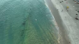 Rio de Janeiro se transforma no Caribe com águas cristalinas