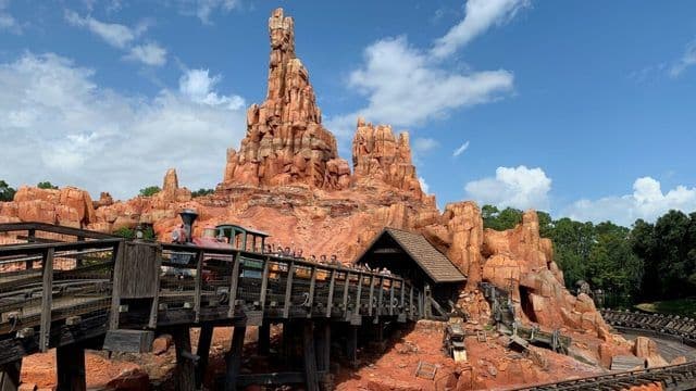 Montanha-russa da Disney e pedras nos rins: entenda a relação