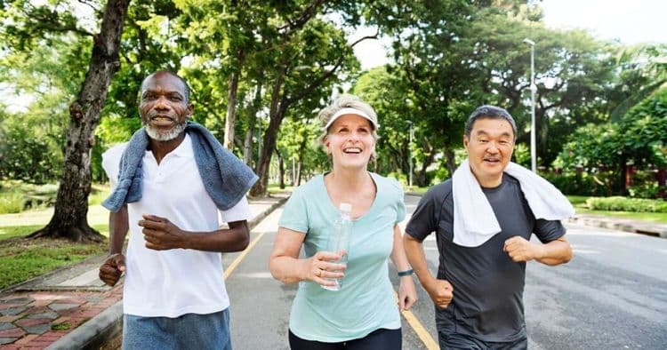 Deficiência de Proteínas e Seus Efeitos na Terceira Idade