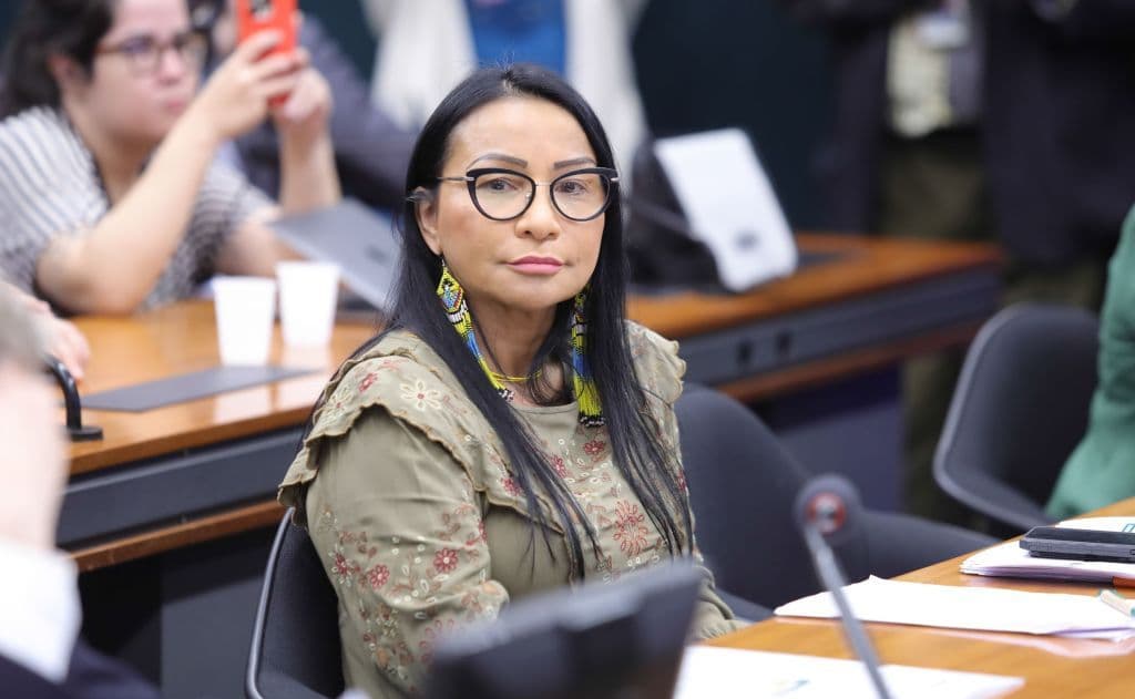 Deputada do PL pode perder mandato por decisão do STF