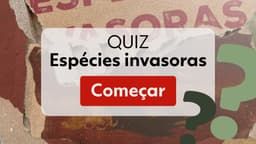 Tilápia, peixe nativo da África, causa impactos negativos nos biomas brasileiros. Reprodução: Globo