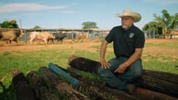Touros atletas mostram a montaria no rodeio, tema da nova série Vida de Rodeio. Reprodução: Retorno do item 11