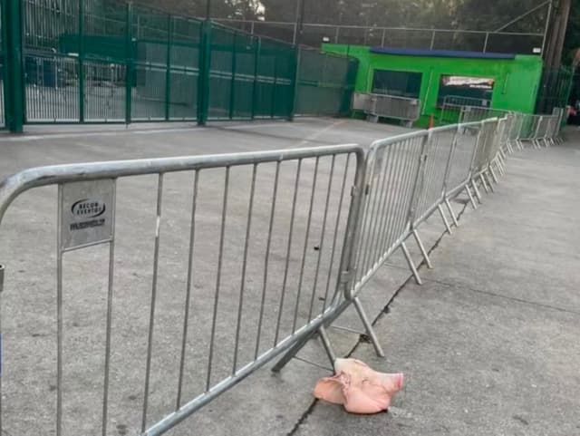 Cabeça de porco provoca polêmica antes do Dérbi