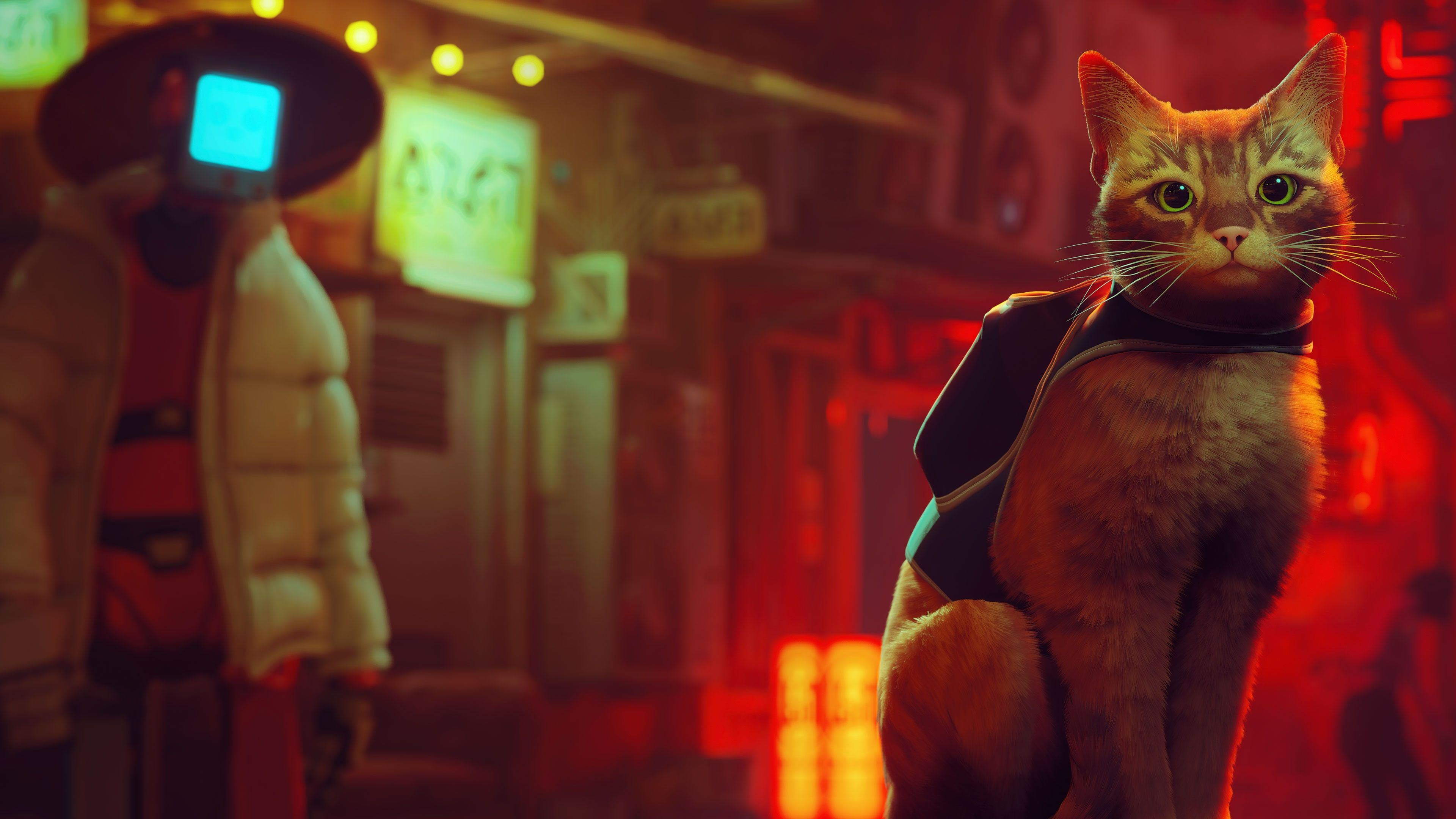 Stray para Nintendo Switch agora recebe upgrade gratuito para versão do Switch 2