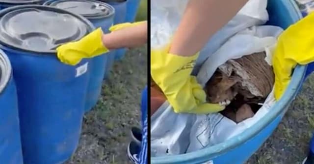 Investigação sobre descarte irregular de ossadas em Alvorada