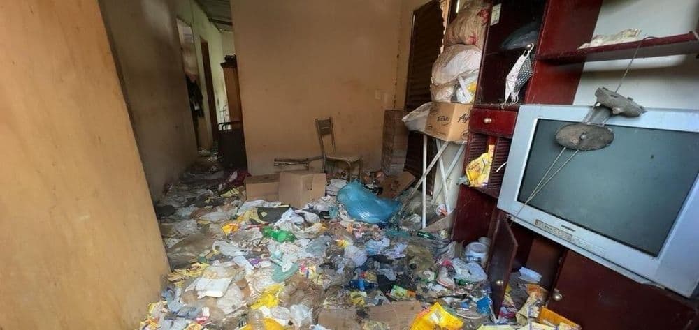 Cachorros resgatados em situação de maus-tratos em Viçosa. Reprodução: Globo.