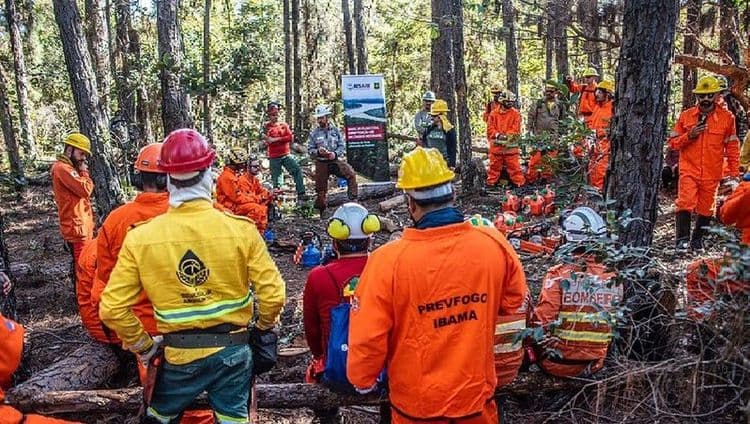 Suspensão de parceria EUA-Brasil impacta combate a incêndios