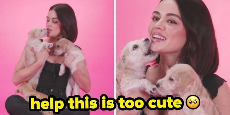Lucy Hale compartilha segredos da carreira com filhotes
