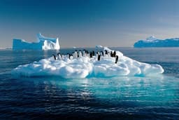 Pinguins-adélie flutuam em gelo derretido no oceano austral, evidenciando os efeitos do aquecimento global. Reprodução: Globo