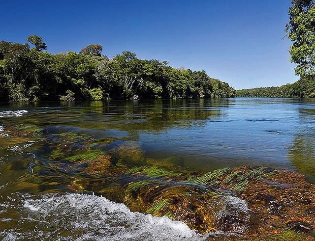 [Indígenas Manoki aparecem em meio à discussão sobre demarcações de terras no STF]. Reprodução: Oglobo