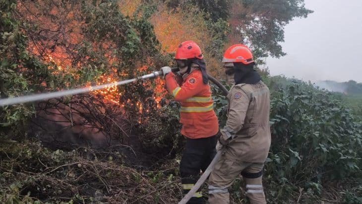 AGU multa infratores ambientais do Pantanal em R$ 725 milhões