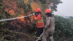 AGU multa infratores ambientais do Pantanal em R$ 725 milhões