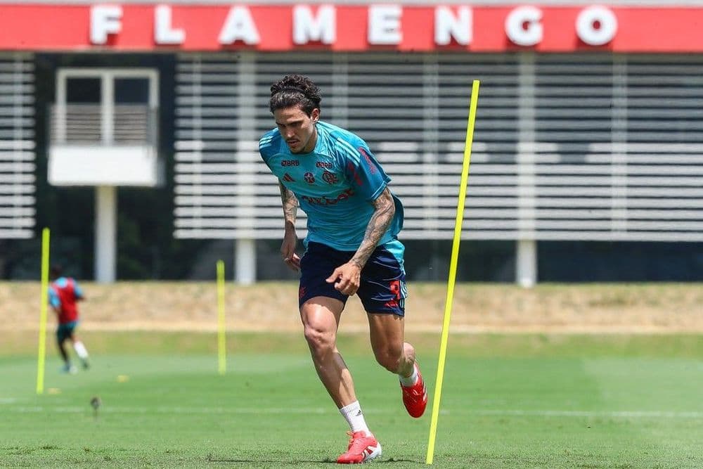 Pedro no banco durante decisivo do Flamengo na Libertadores contra a LDU. Reprodução: Globo