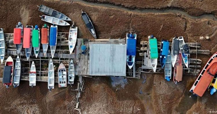 Brasil Enfrenta Queda Alarmante em Áreas Alagadas