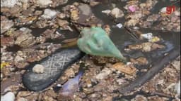 Rio Tietê transborda após fortes chuvas em Salto