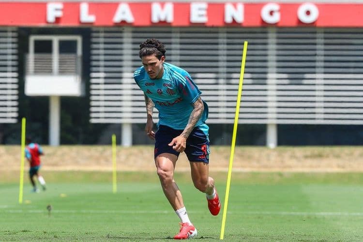 Pedro no banco durante decisivo do Flamengo na Libertadores contra a LDU. Reprodução: Globo