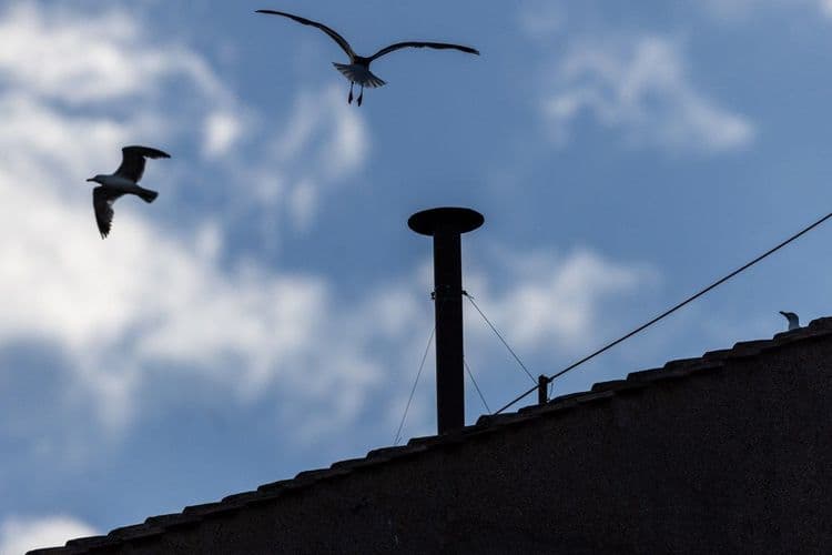 Expectadores acompanham ao vivo a chaminé da Capela Sistina em busca de fumaça. Reprodução: TechCrunch