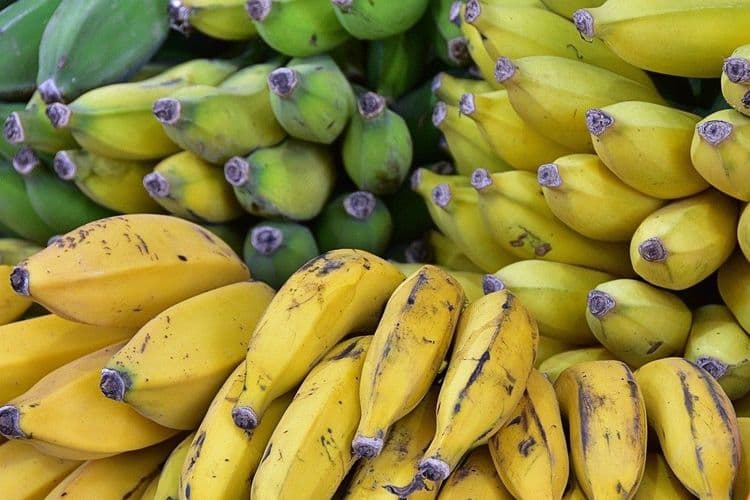 Como Fazer Alimentos Durarem Mais no Calor