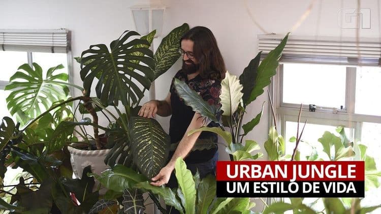 Plantas Zumbis: O Mistério da Ressurreição Vegetal