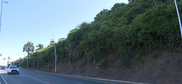 Artistas se posicionam contra venda de áreas verdes em Salvador após suspensão do leilão pela Justiça Federal. Reprodução: Globo