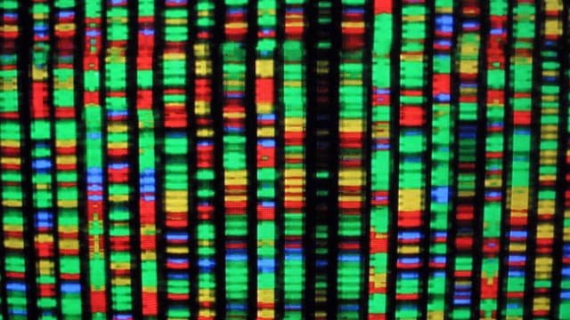 Nova estratégia da instituição médica gera debates sobre riscos e benefícios. Reprodução: Gizmodo