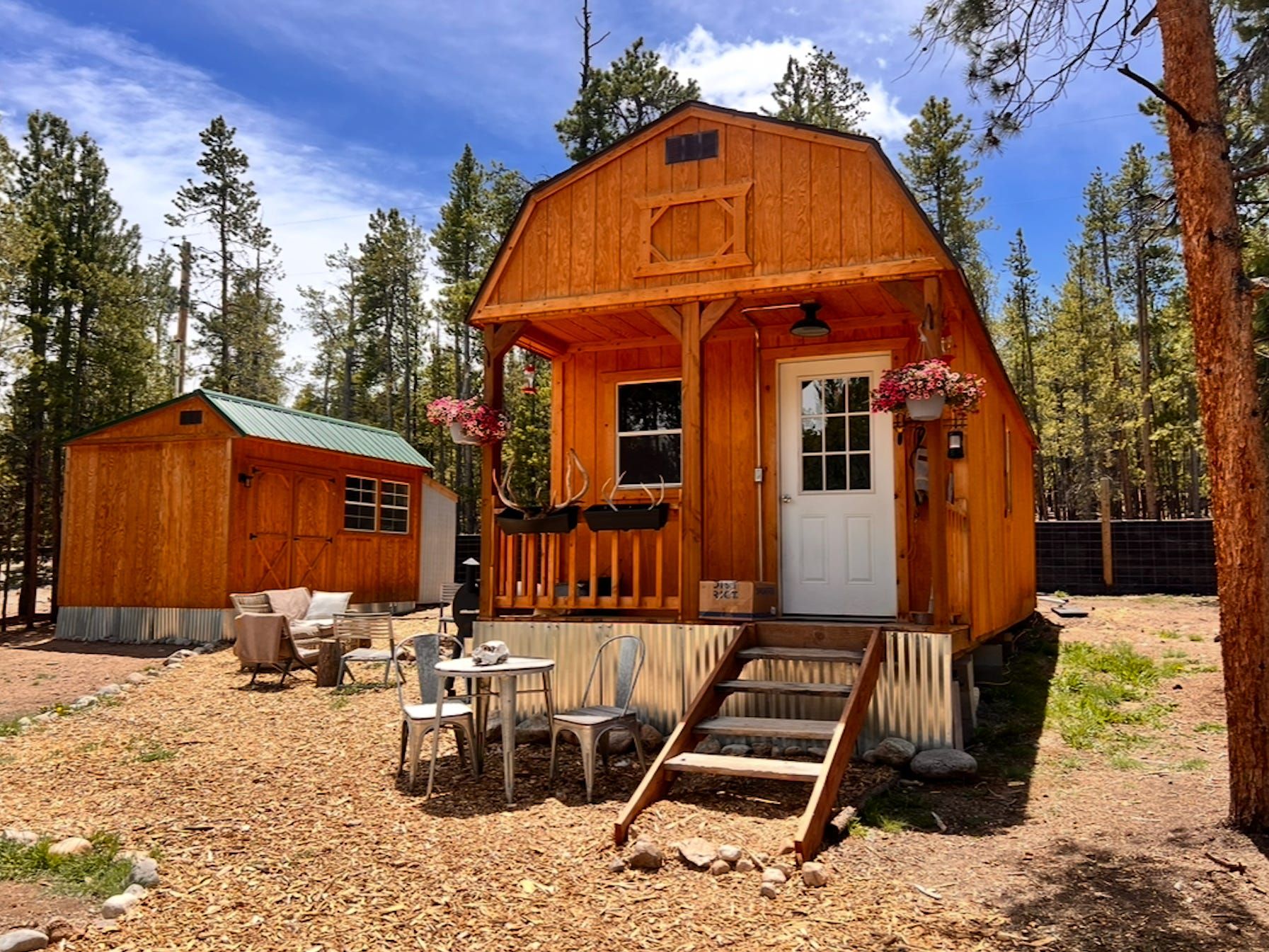 A couple bought a 380-square-foot shed for $12,000 and turned it into a tiny home they share with their 3 dogs