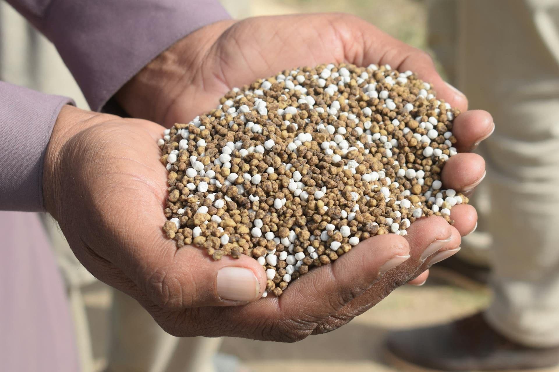 Brasil se preocupa com novas tarifas dos EUA sobre fertilizantes importados da Rússia. Reprodução: Globo