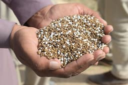 Brasil se preocupa com novas tarifas dos EUA sobre fertilizantes importados da Rússia. Reprodução: Globo