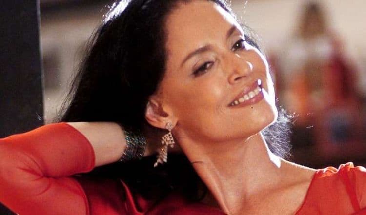 Sônia Braga celebra 75 anos de carreira e continua brilhando no cinema e teatro. Reprodução: Purepeople