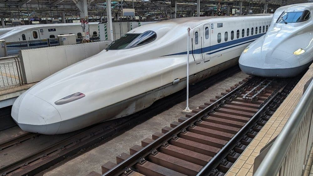 Animal se enrosca em linha de transmissão de energia. Reprodução: IG.