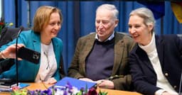 AfD e seus riscos à democracia na Alemanha