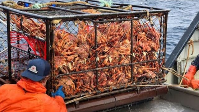 Mar de Bering, entre Alasca e Rússia, abriga o caranguejo-rei em um cenário de beleza selvagem. Reprodução: ig.com.br