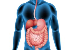 Prevenção e Dieta para Gordura no Fígado